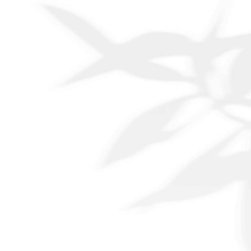 https://nails.e-sphera.it/wp-content/uploads/2020/11/shadow_leaves_03.png