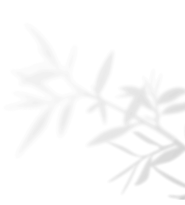 https://nails.e-sphera.it/wp-content/uploads/2020/11/shadow_leaves_04.png
